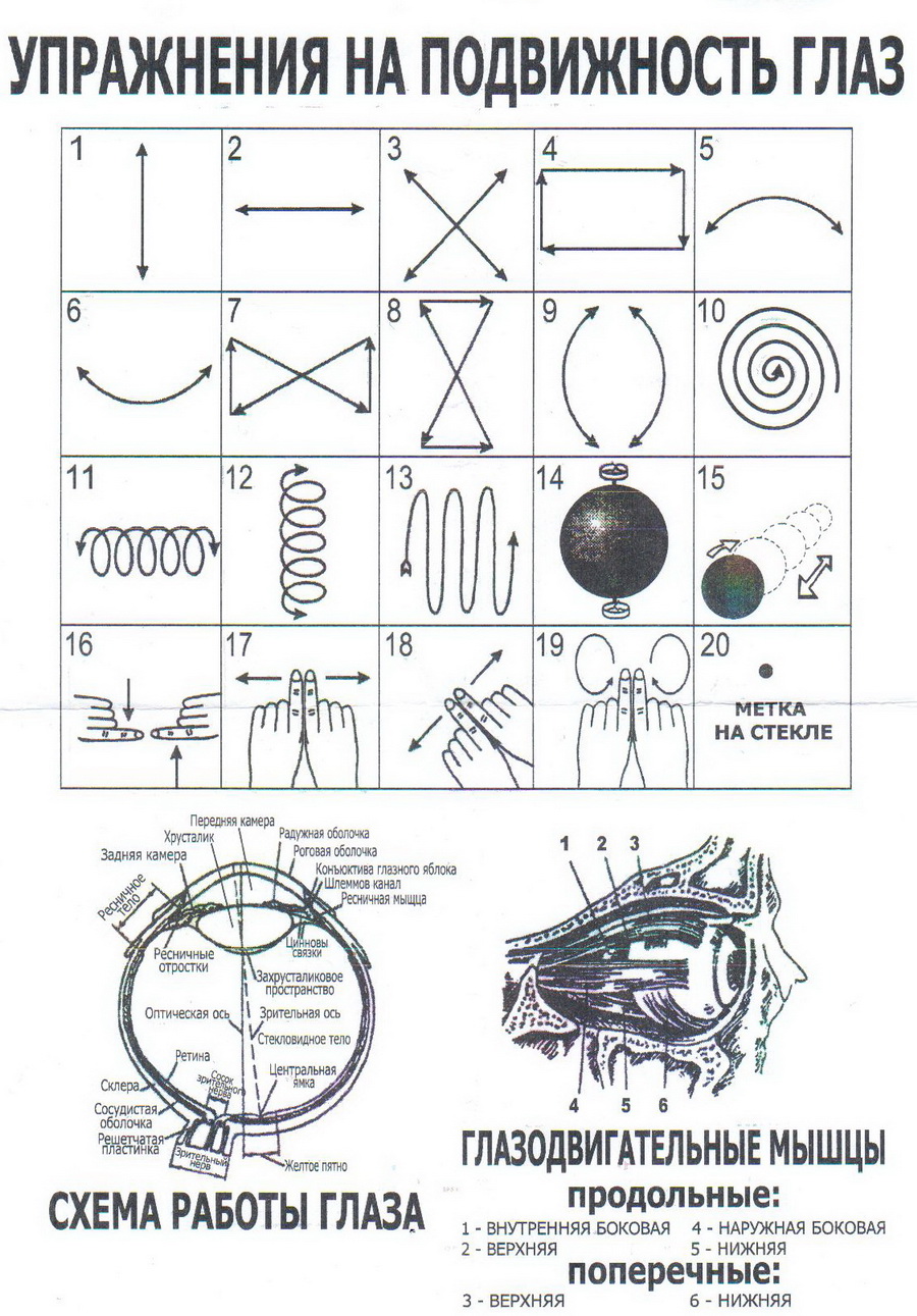 Упражнения По Востановлению Зрения По Методике Бейтса Бесплатно