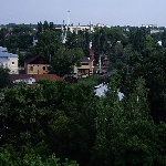 Всё в зелени, попробуй что-то разглядеть! Попробуем...