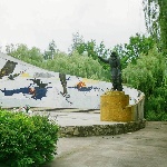 ˸ 